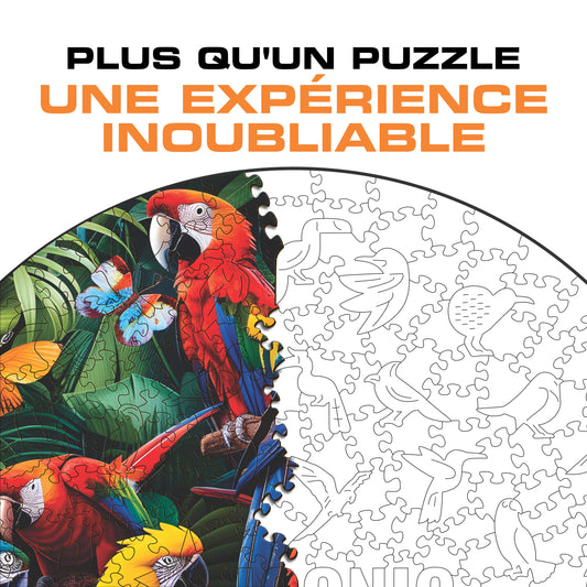 Perroquets Colorés - Puzzle en Bois