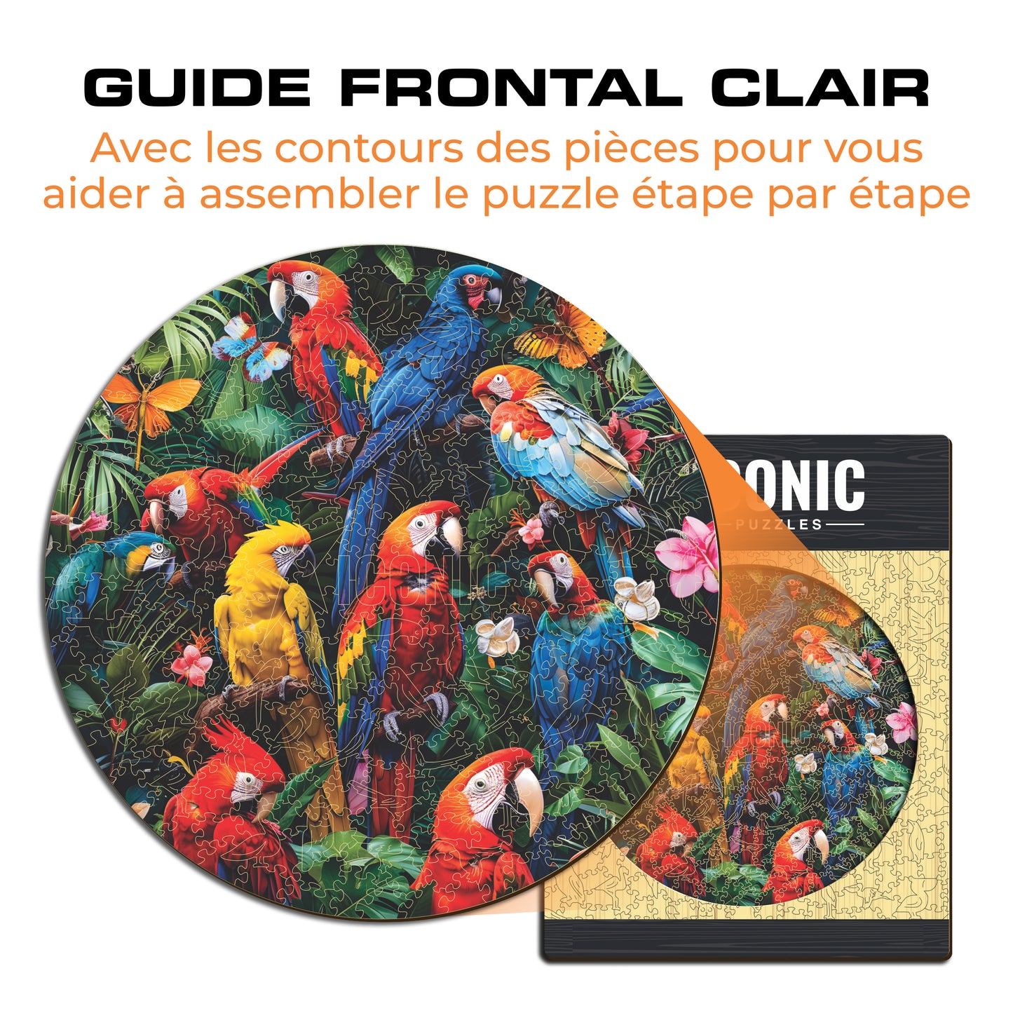 Perroquets Colorés - Puzzle en Bois