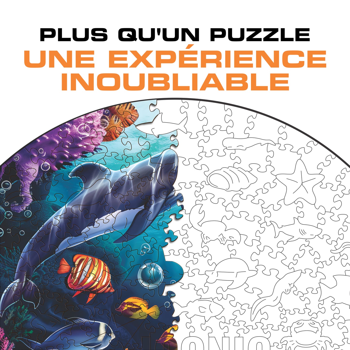Animaux Marins - Puzzle en Bois