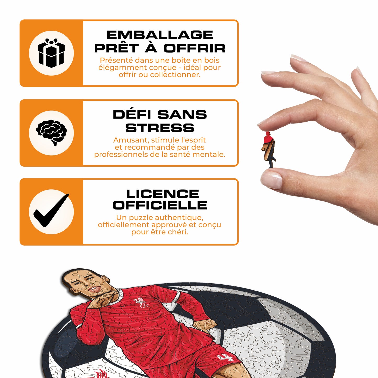 Virgil van Dijk - Puzzle en Bois