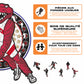 Mascotte Toronto Raptors™ - Puzzle en Bois