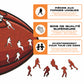 Football Atlanta Falcons™ - Puzzle en Bois