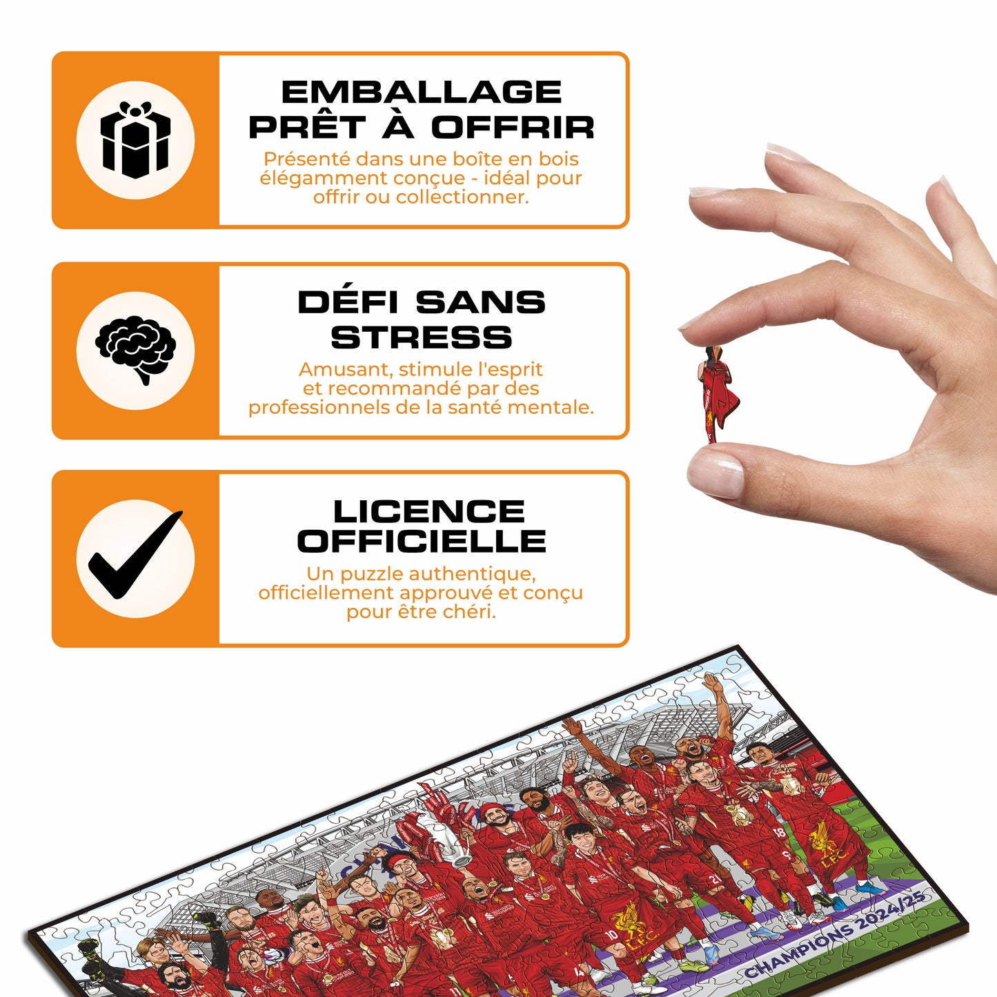Liverpool FC® Premier League Champions 24/25 - Puzzle en Bois