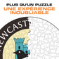 Retro Logo Newcastle United FC® - Puzzle en Bois